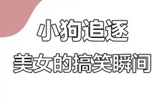 国产在线二区三区熟女A级